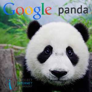 Google Panda 4.1: что нового?