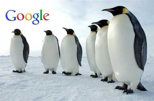Рекомендации по оптимизации сайта с учетом пингвина