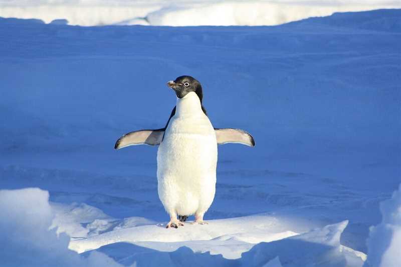 Пингвин стал частью основного алгоритма Google